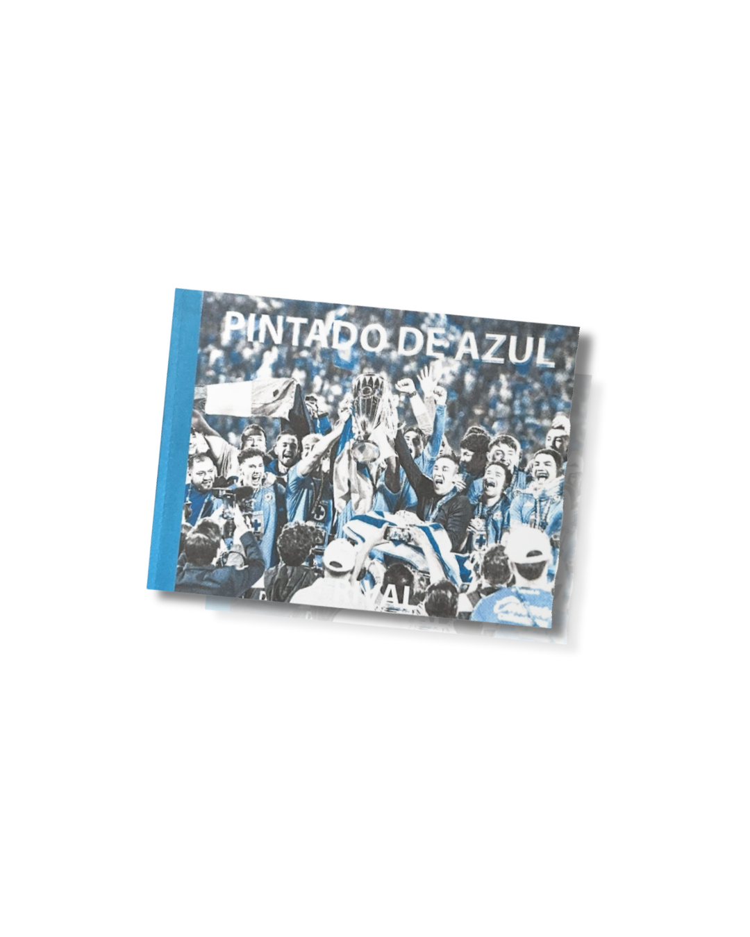 ZINE / PINTADO DE AZUL